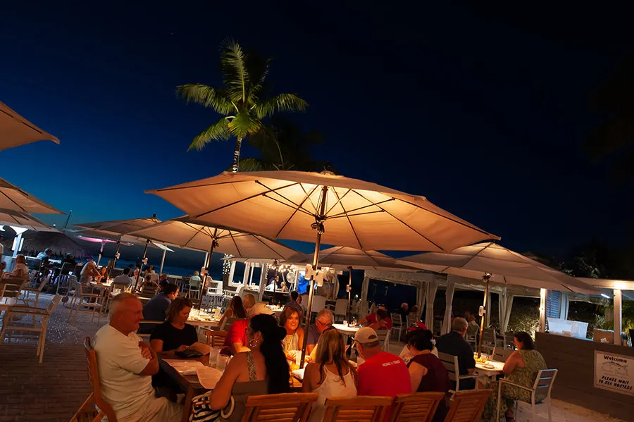 Dual Beam Umbrella & Table Light System