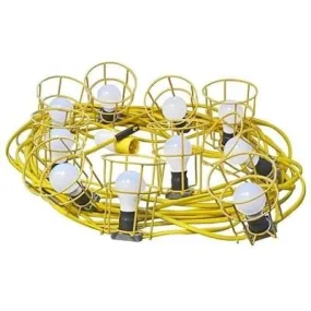 Festoon Lights