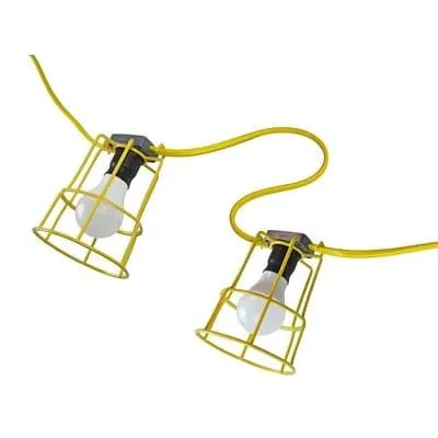 Festoon Lights
