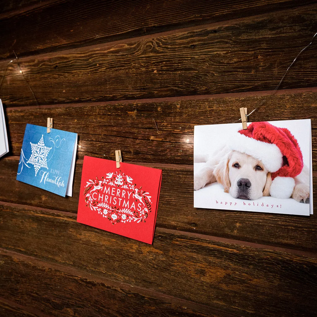 Mini Clothespin String Lights