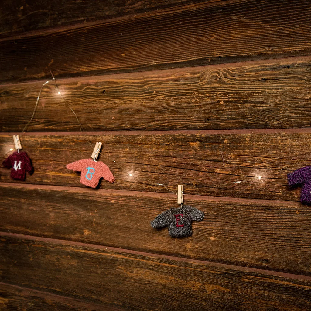 Mini Clothespin String Lights