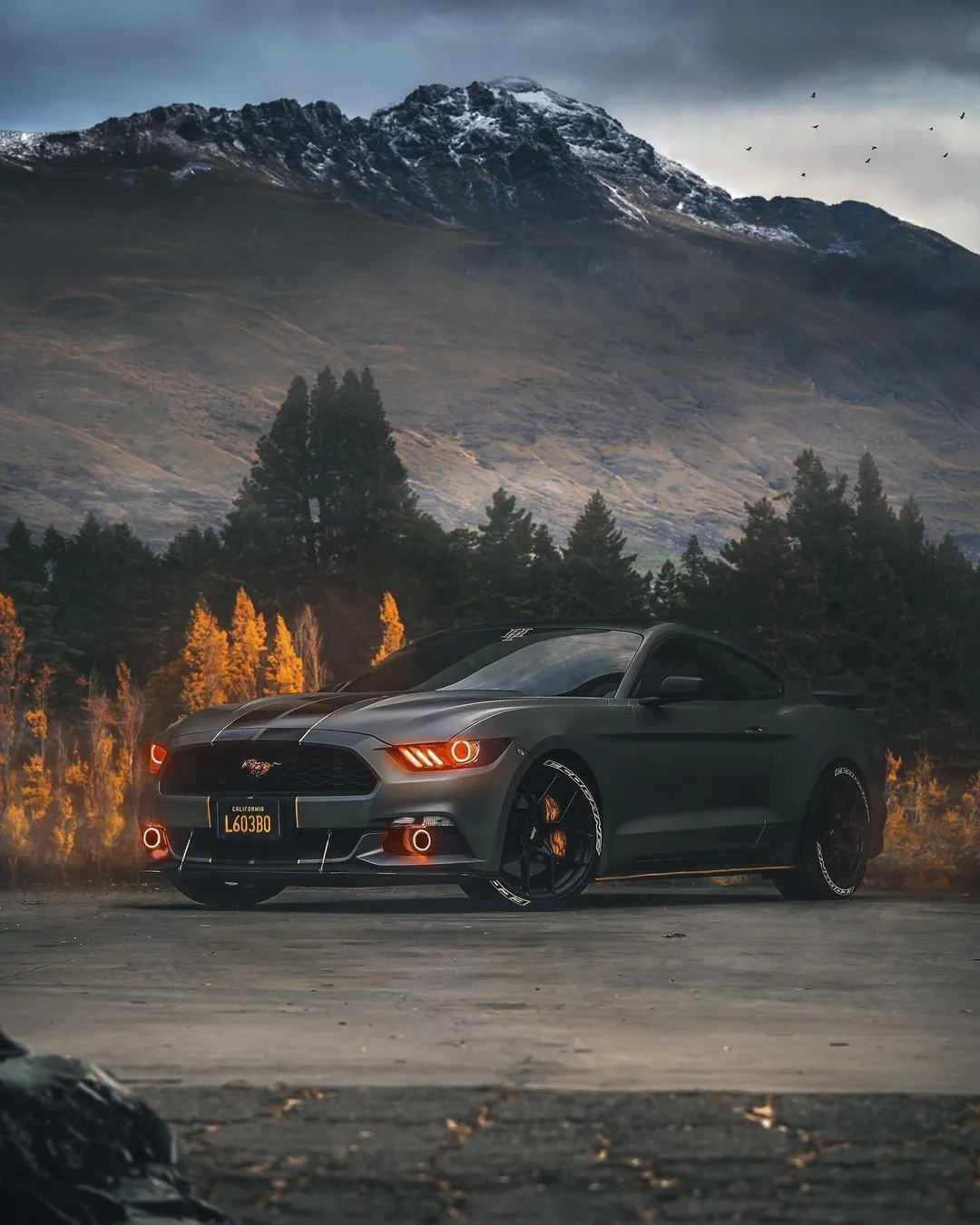 ORACLE Lighting 2015-2017 Ford Mustang V6/GT/SHELBY LED Headlight Halo Kit