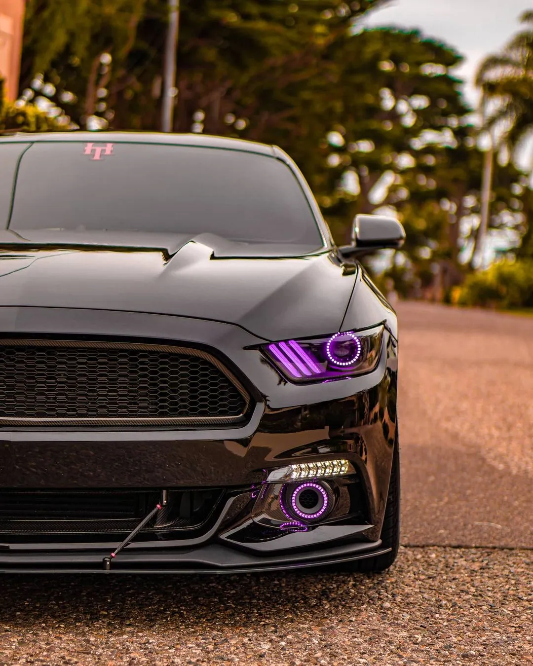 ORACLE Lighting 2015-2017 Ford Mustang V6/GT/SHELBY LED Headlight Halo Kit