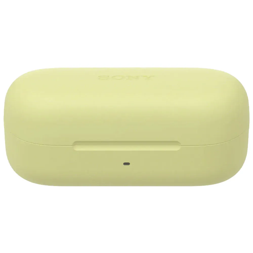 Sony WF-C510 Truly Wireless Earbuds