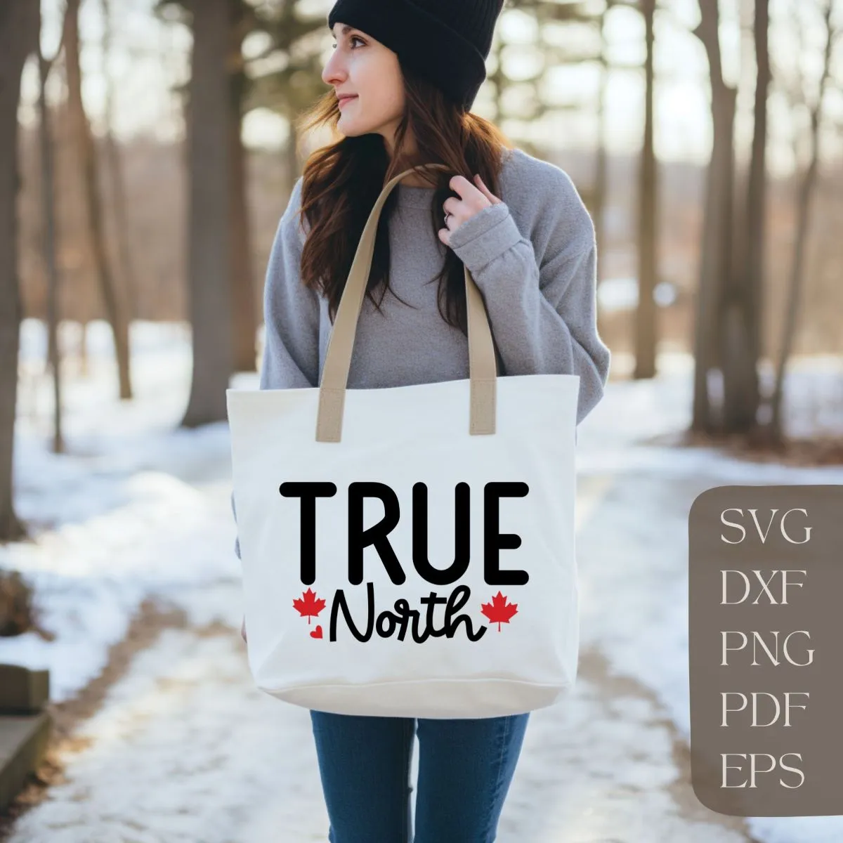 True North