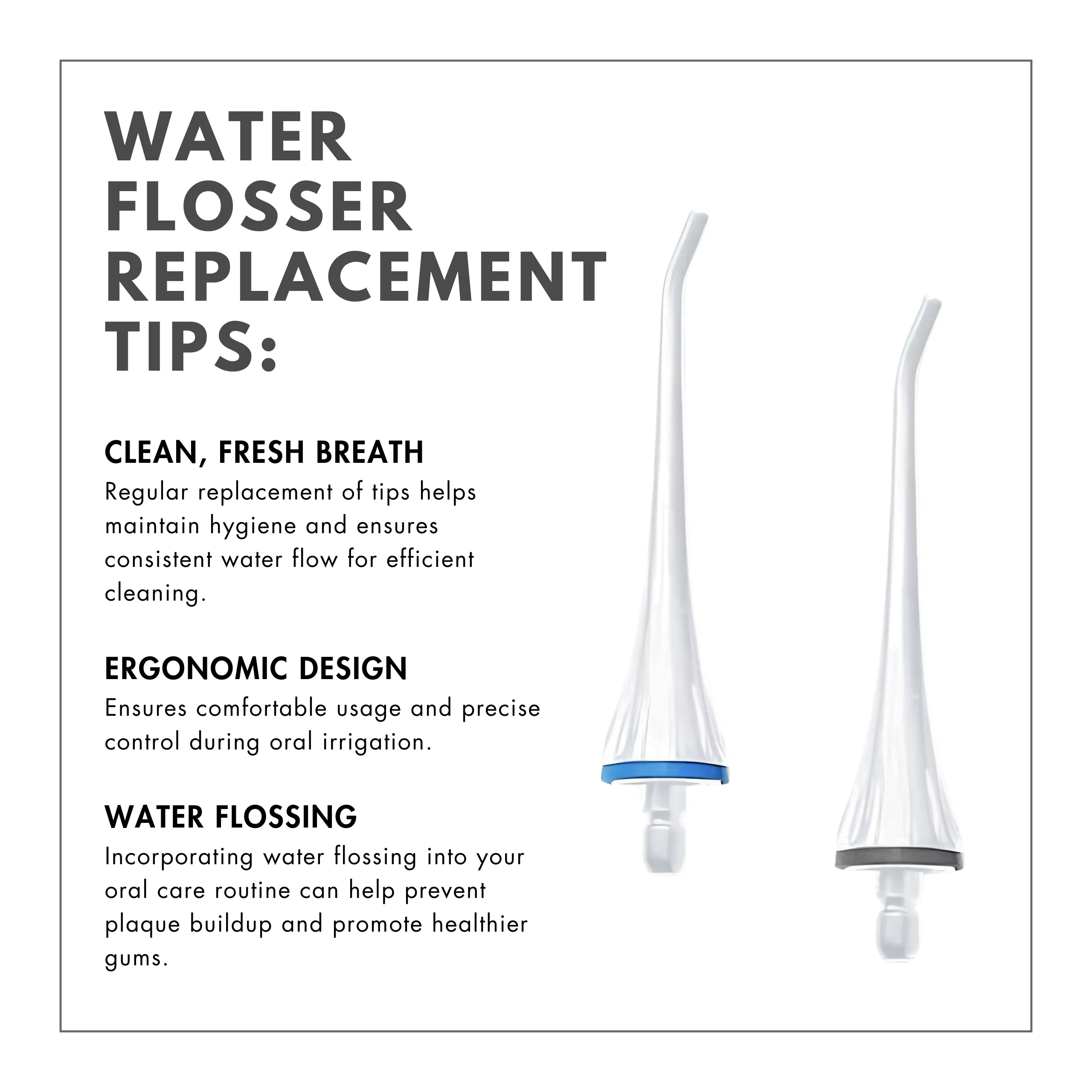 Water Flosser Replacement Tips - 2 Pack